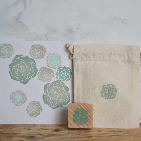 petite succulente la fabutineuse 1