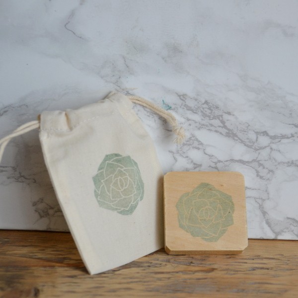 succulente la fabutineuse 1 succulente la fabutineuse 1