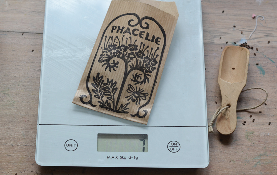 sachets de phacelie lafabutineuse3_72