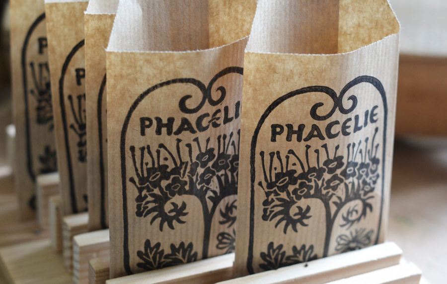 sachets de phacelie lafabutineuse4_72