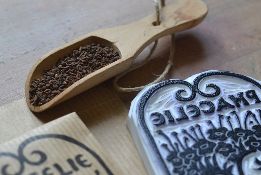 sachets de phacelie lafabutineuse7_72