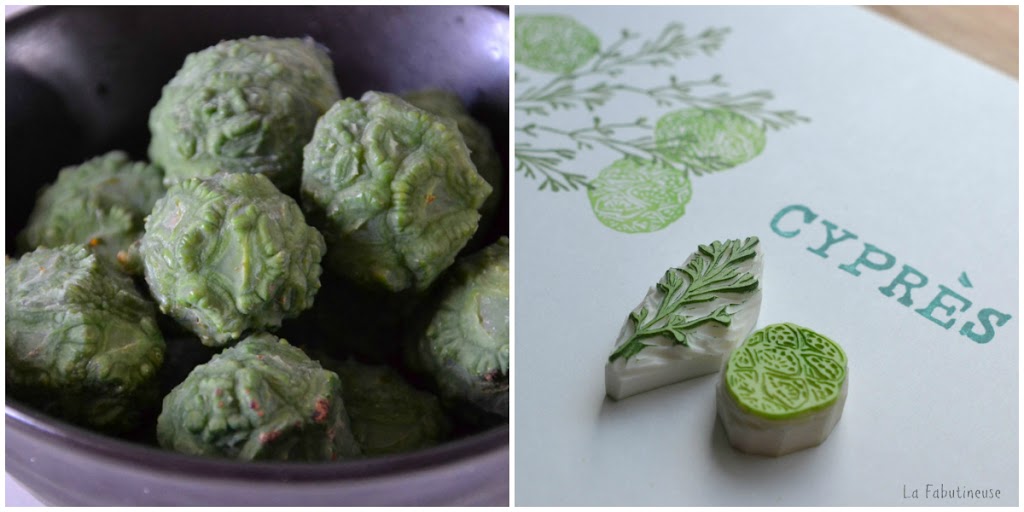 Impression botanique Le cyprès