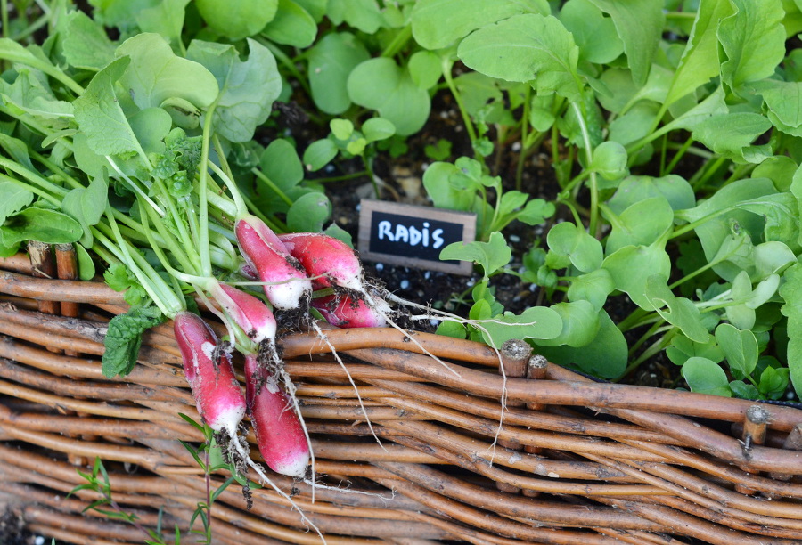 DIY étiquettes bois ardoise9