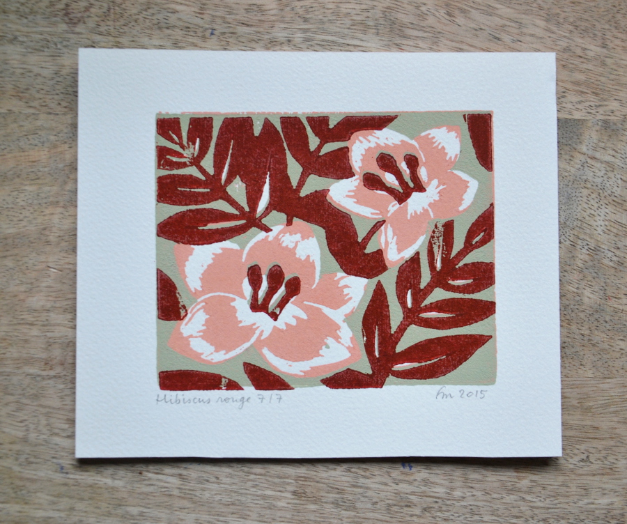 Hibiscus rouge la fabutineuse