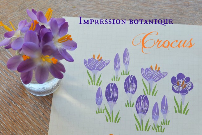 crocus impression botanique la fabutineuse titre crocus