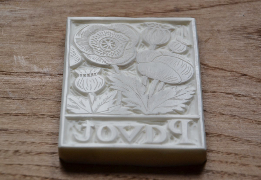 abecedaire botanique la fabutineuse pavot 1