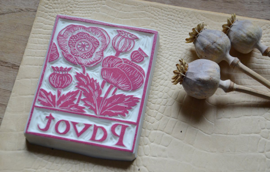 abecedaire botanique la fabutineuse pavot 2