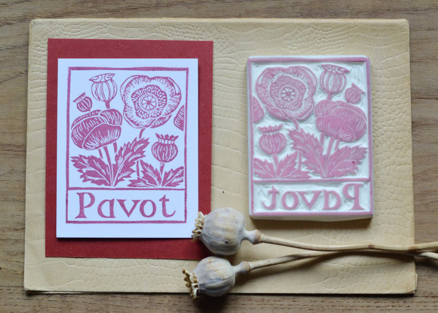 abecedaire botanique la fabutineuse pavot 3