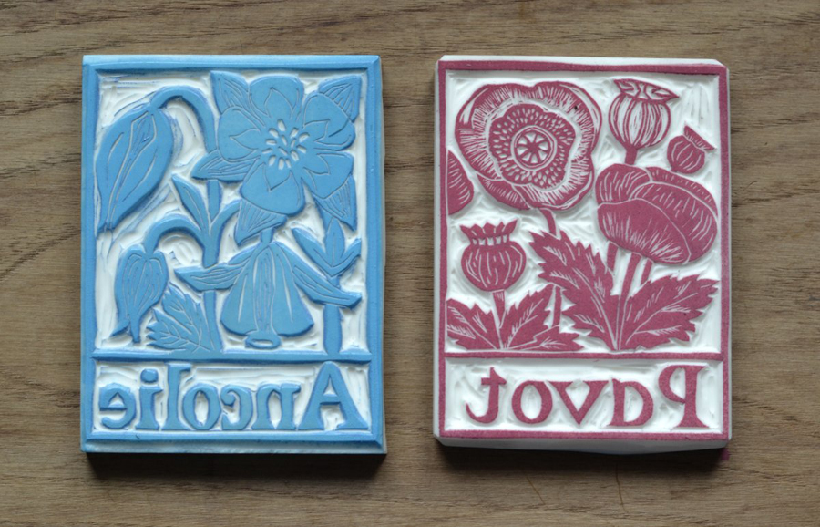 abecedaire botanique la fabutineuse pavot 5