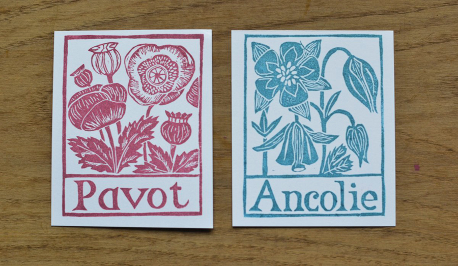 abecedaire botanique la fabutineuse pavot 6