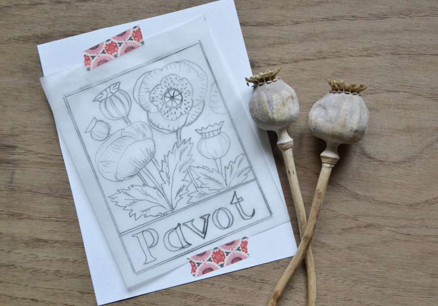 abecedaire botanique la fabutineuse pavot