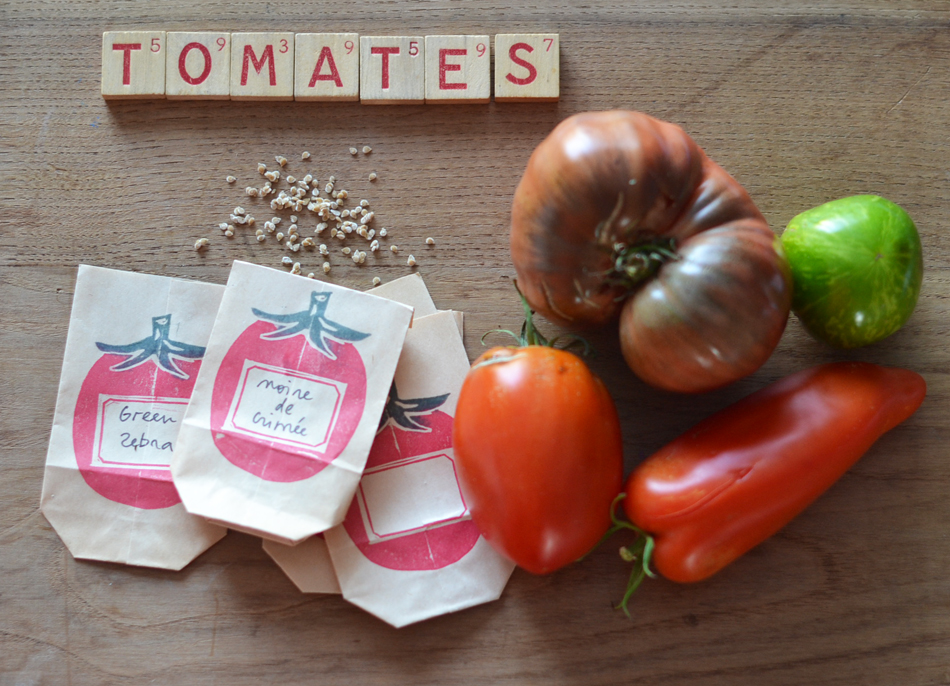 Des petits sachets de graines de tomates